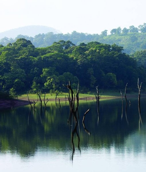 Thekkady